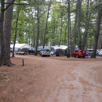Camping under the pines at the 2018 Thomas Point Beach bluegrass festival - photo by Dale Cahill