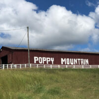 Poppy Mountain Barn at the 2018 Poppy Mountain Bluegrass Festival - photo by Jada Clark
