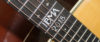 Custom IBMA Martin guitar on ebay
