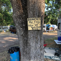 2019 Parkfield Bluegrass Festival - photo by Dave Berry