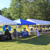 Vendor row at the 2019 Willow Oak Park Bluegrass Festival - photo by Laura Ridge