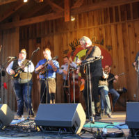 True Grass Band at the 2019 Willow Oak Park Bluegrass Festival - photo by Laura Ridge