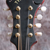 Thompson mandolin headstock