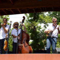 Lonesome Ace Stringband at the 2019 RockyGrass Festival - photo by Kevin Slick