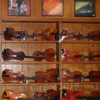 Fiddles on display at the newly reopened Double Stop Fiddle Shop - photo by Pamm Tucker