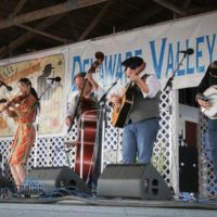 Annie Staninec sits in with Special Consensus at the 2019 Delaware Valley Bluegrass Festival - photo by Frank Baker