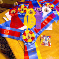 Winners ribbons and belts for the Overlook Farms Fiddlers Convention 2020