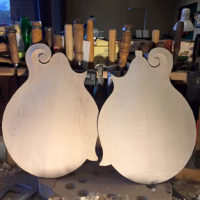 Mandolin backs at Gary Vessel's shop - photo by Dave Berry