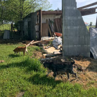 Tornado damaged the barn at Donna Ulisse and Rick Stanley's wee farm