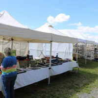 Vendor row at the 2021 Doyle Lawson & Quicksilver festival - photo by Laura Tate Ridge
