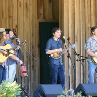 Liam Purcell & Cane Mill Road at the 2021 Willow Oak Park Bluegrass Festival - photo by Laura Ridge