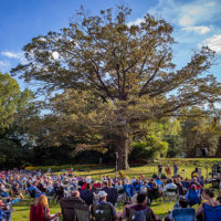 Brandon Snelling, Shannon Bielski and Rob Benzing form Moonlight Drive, here playing to a crowd of 1200 at Mount Airy Farm, Warsaw, VA Saturday September 25th, 2021 - photo by Jeromie Stephens