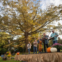 Low-evening-sunlight-beams-thru-the-treetops-as-the-Seldom-Scene-performed-Live-at-the-Cellar-Door.-Mount-Airy-Farm,-Warsaw,-VA-Saturday-September-25th,-2021-----photo-by-Jeromie-Stephens