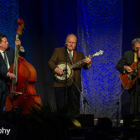 Primitive Quartet at the Industrial Strength Bluegrass Festival (March 2022) - photo © Michael Gabbard Photography