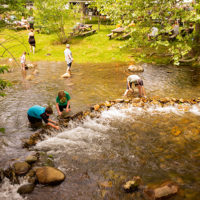 Fun in the creek at the 2022 Graves Mountain Music Festival - photo by Jeromie Stephens