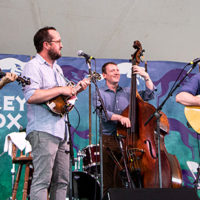 Mr. Sun at the 2022 Grey Fox Bluegrass Festival - photo © Tara Linhardt