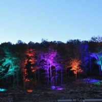 Beautiful lighting of the trees from the stage at CaveFest at The Caverns, Pelham, TN on Sunday, October 9, 2022 - photo by Alisa B. Cherry