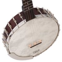 Recording King Madison open back banjo