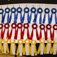 Ribbons at the ready for the 2023 Yadkin Bluegrass and Old Time Fiddler's Convention - photo by G Nicholas Hancock