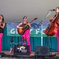 Wicked Sycamore at the 2023 Grey Fox Bluegrass Festival - photo © Tara Linhardt