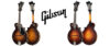 Gibson F-5 mandolin