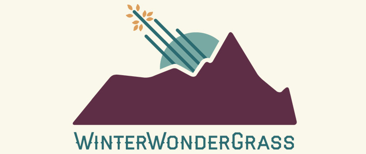 Winter Wondergrass