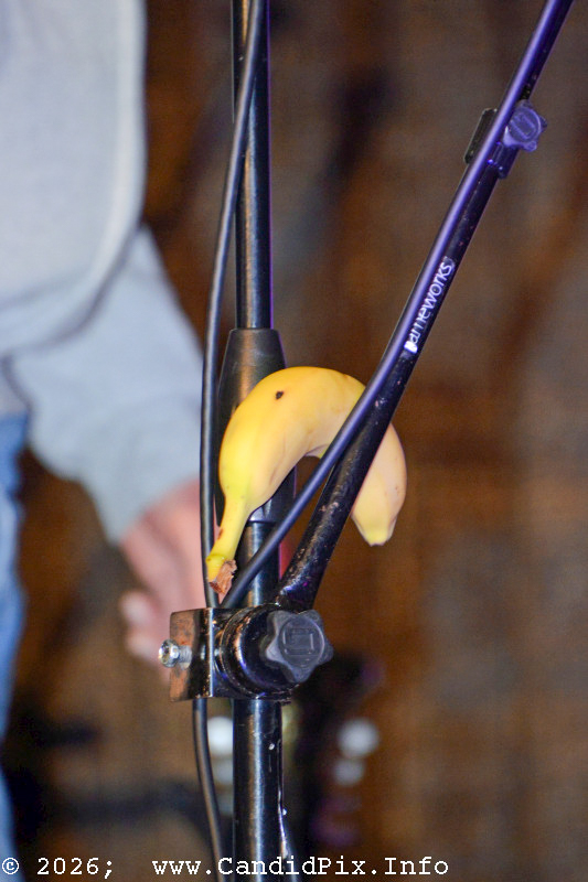 Banana phone (?) at the 2026 Palatka Bluegrass Festival - photo © Bill Warren