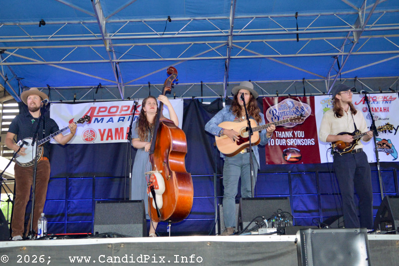 Remedy Tree at the 2026 Big Bass Bluegrass & BBQ festival in Inverness, FL - photo © Bill Warren