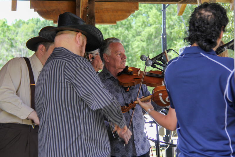 Fiddlers roll call with Country Grass at the 2026 Willow Oak Bluegrass Festival - photo © Laura Ridge
