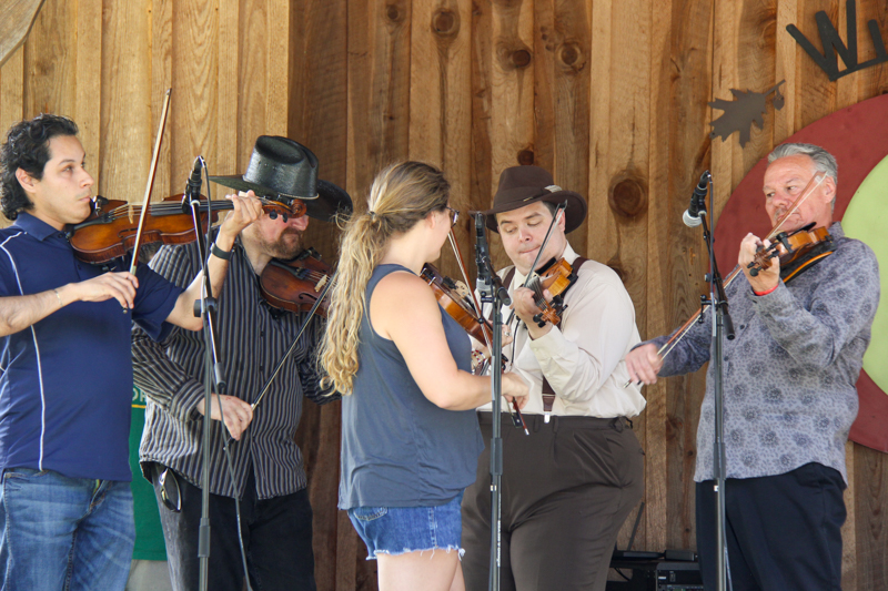 Fiddlers roll call with Country Grass at the 2026 Willow Oak Bluegrass Festival - photo © Laura Ridge