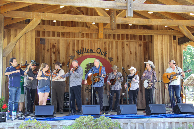 Fiddlers roll call with Country Grass at the 2026 Willow Oak Bluegrass Festival - photo © Laura Ridge