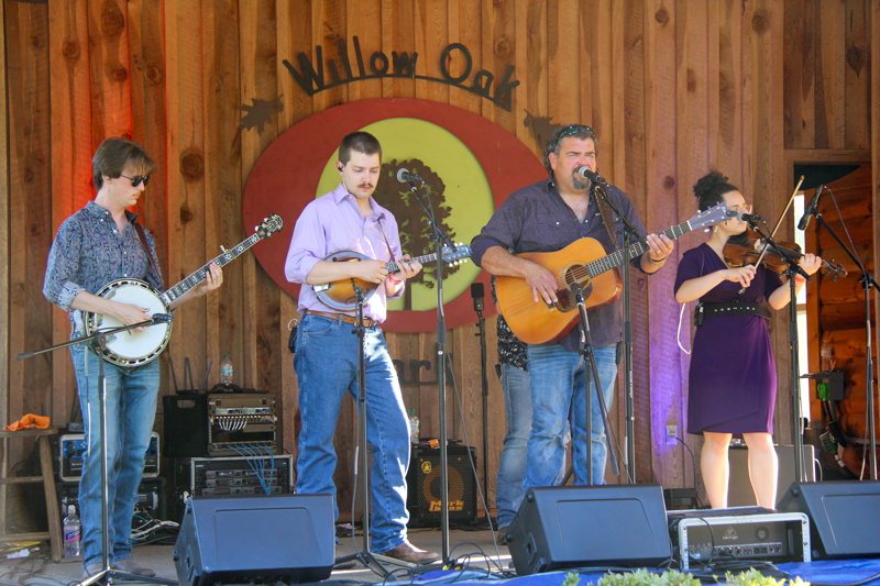 Dave Adkins & Mountain Soul at the 2026 Willow Oak Bluegrass Festival - photo © Laura Ridge