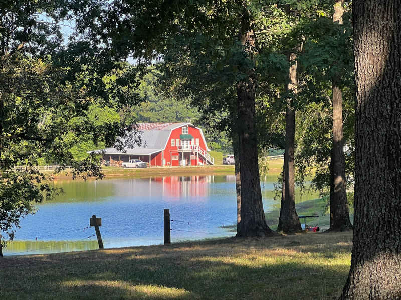 2026 Willow Oak Bluegrass Festival - photo © Sandy Hatley