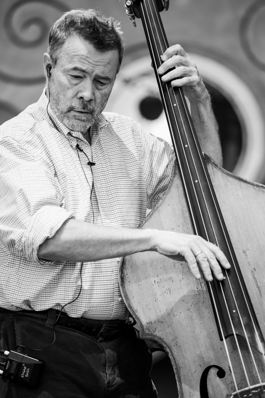 Edgar Meyer with the Telluride House Band at Telluride Bluegrass Festival 2026 - photo © Anthony Verkuilen