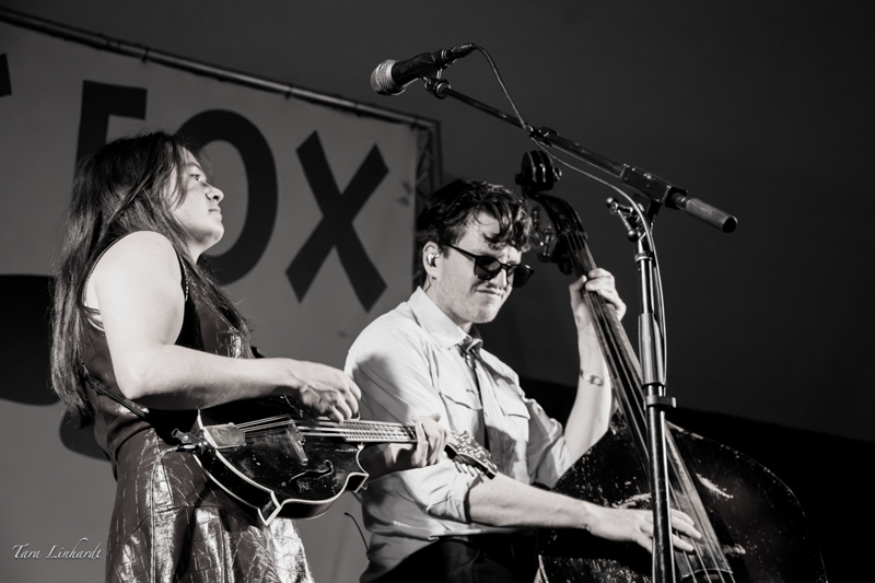 AJ Lee & Blue Summit at the 2026 Grey Fox Bluegrass Festival - photo © Tara Linhardt