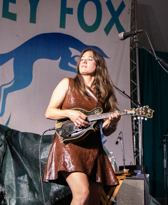 AJ Lee at the 2026 Grey Fox Bluegrass Festival - photo © Tara Linhardt
