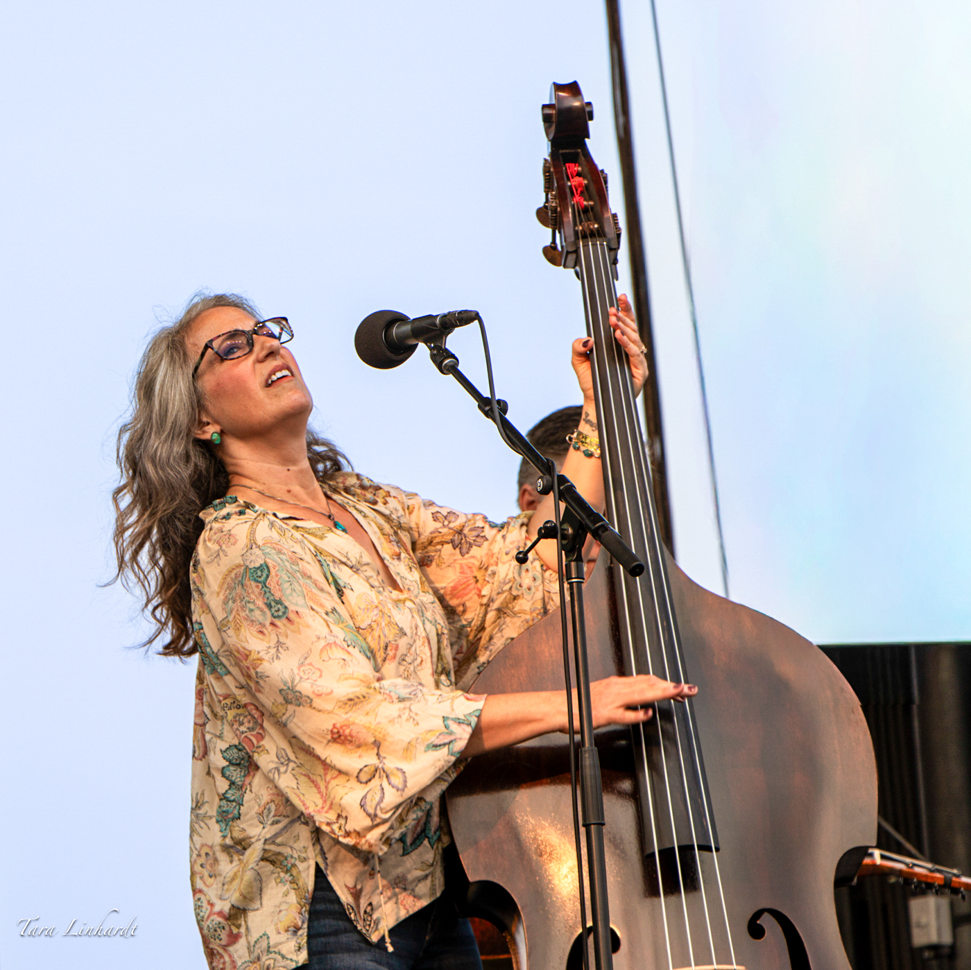 Bryn Davies with The Darrell Scott String Band at the 2026 Grey Fox Bluegrass Festival - photo © Tara Linhardt