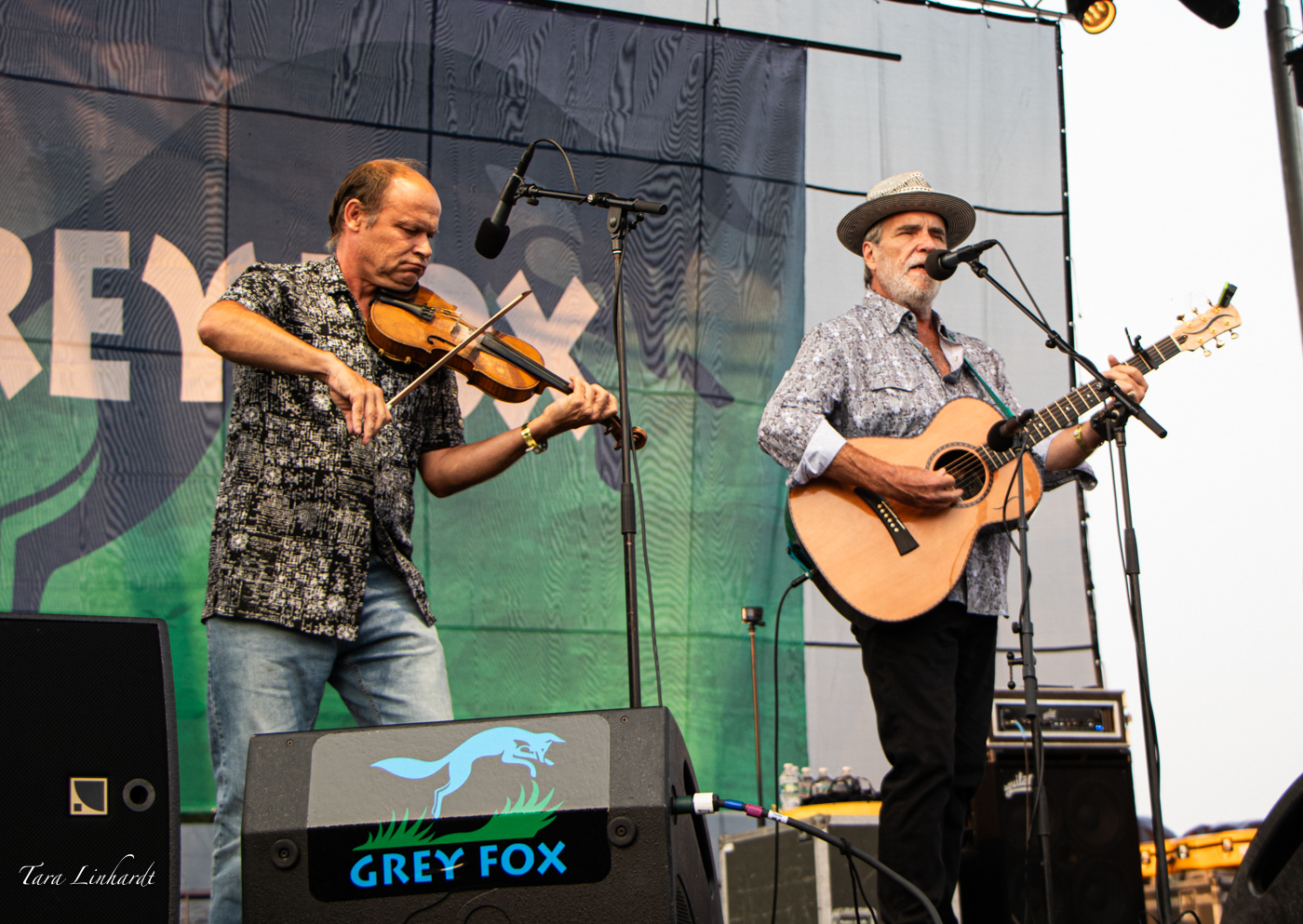 The Darrell Scott String Band at the 2026 Grey Fox Bluegrass Festival - photo © Tara Linhardt