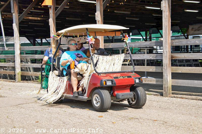 Golf cart parade prior to the 2026 Marshall Bluegrass Festival - photo © Bill Warren
