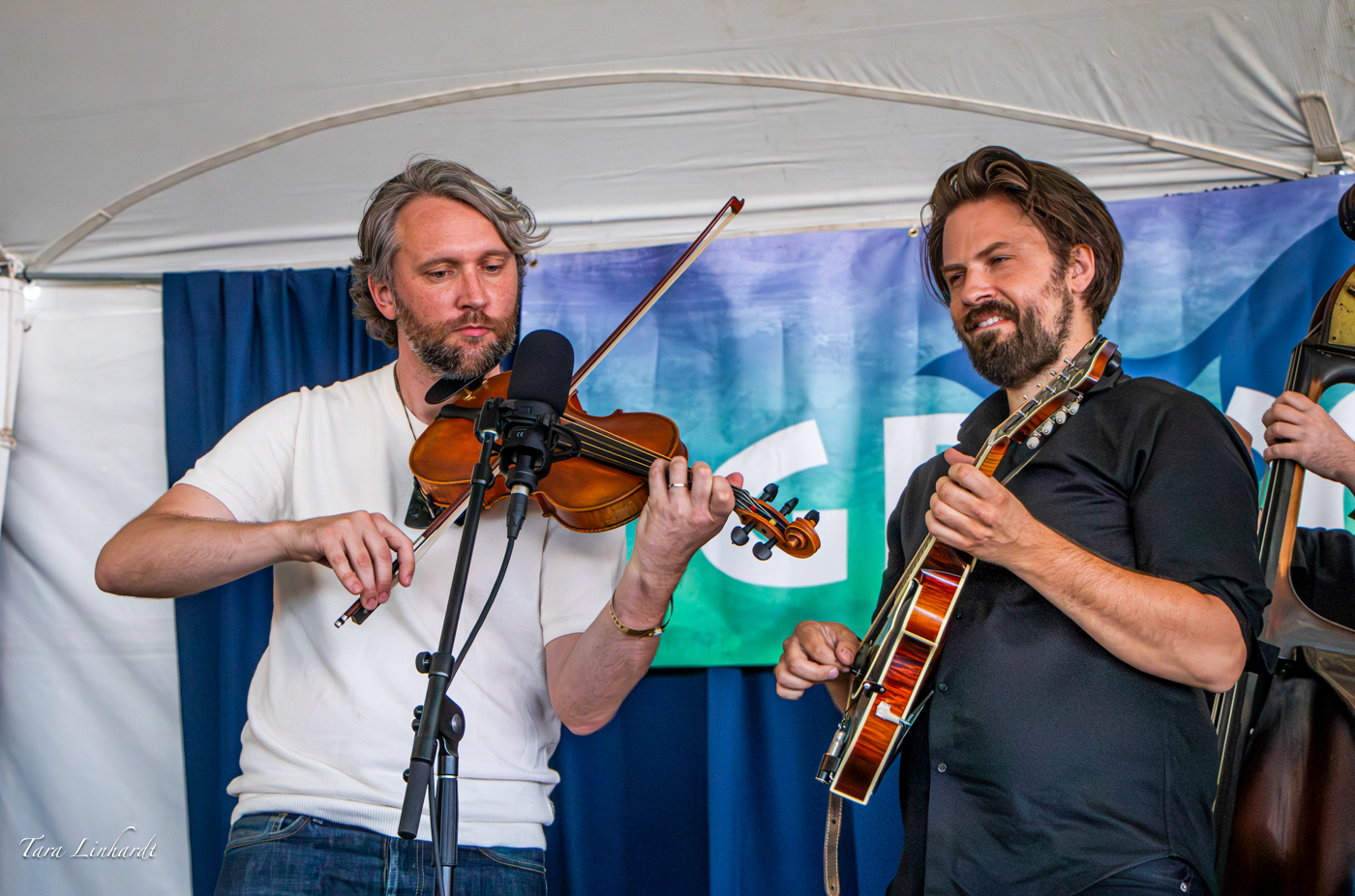 Jacob Jolliff Band at the 2026 Grey Fox Bluegrass Festival - photo © Tara Linhardt