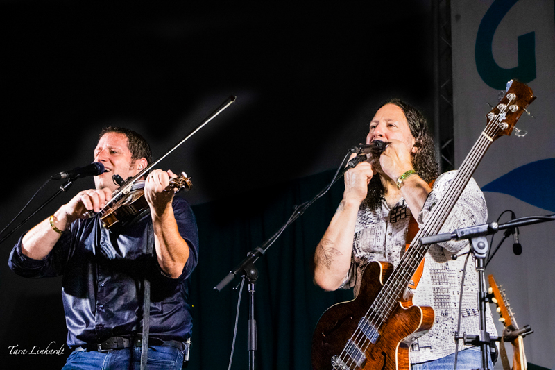 Andre Brunet and Rejean Brunet with Le Vent Du Nord at the 2026 Grey Fox Bluegrass Festival - photo © Tara Linhardt