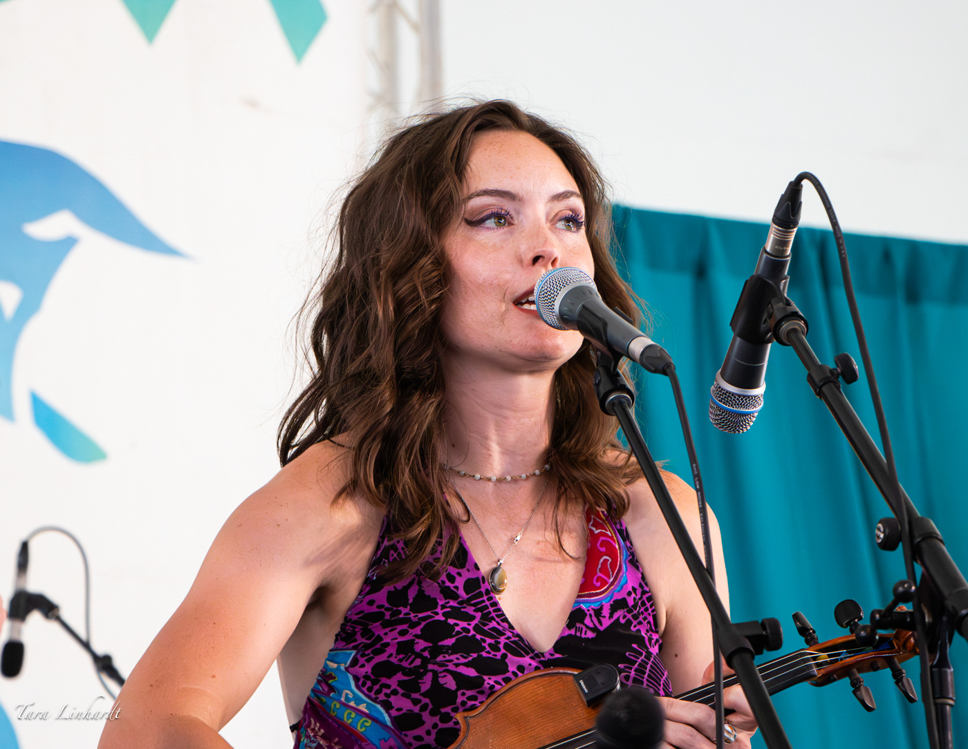 Maddie Denton with East Nash Grass at the 2026 Grey Fox Bluegrass Festival - photo © Tara Linhardt