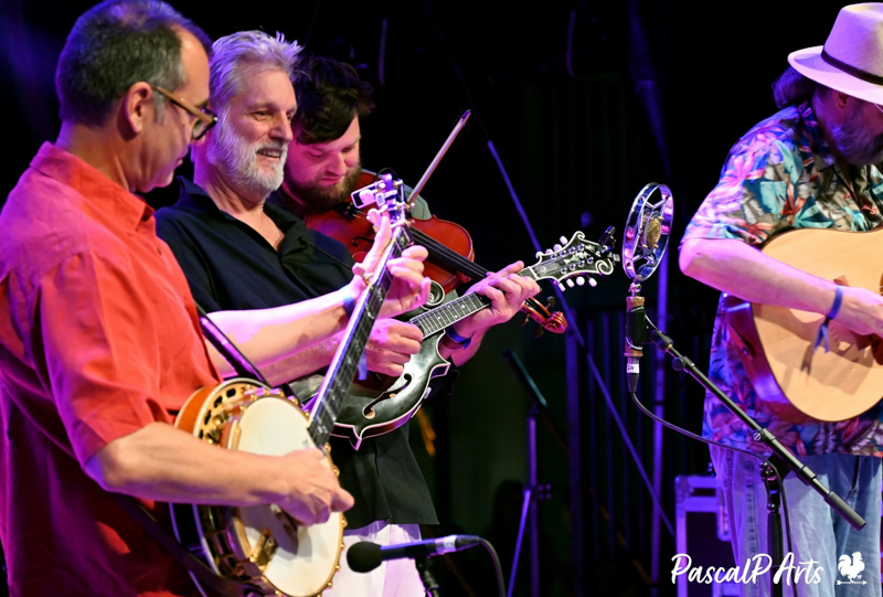 Paul & The Alley Cats at the 2026 La Roche Bluegrass Festival - photo © Pascal.P Art & Country Gift Music