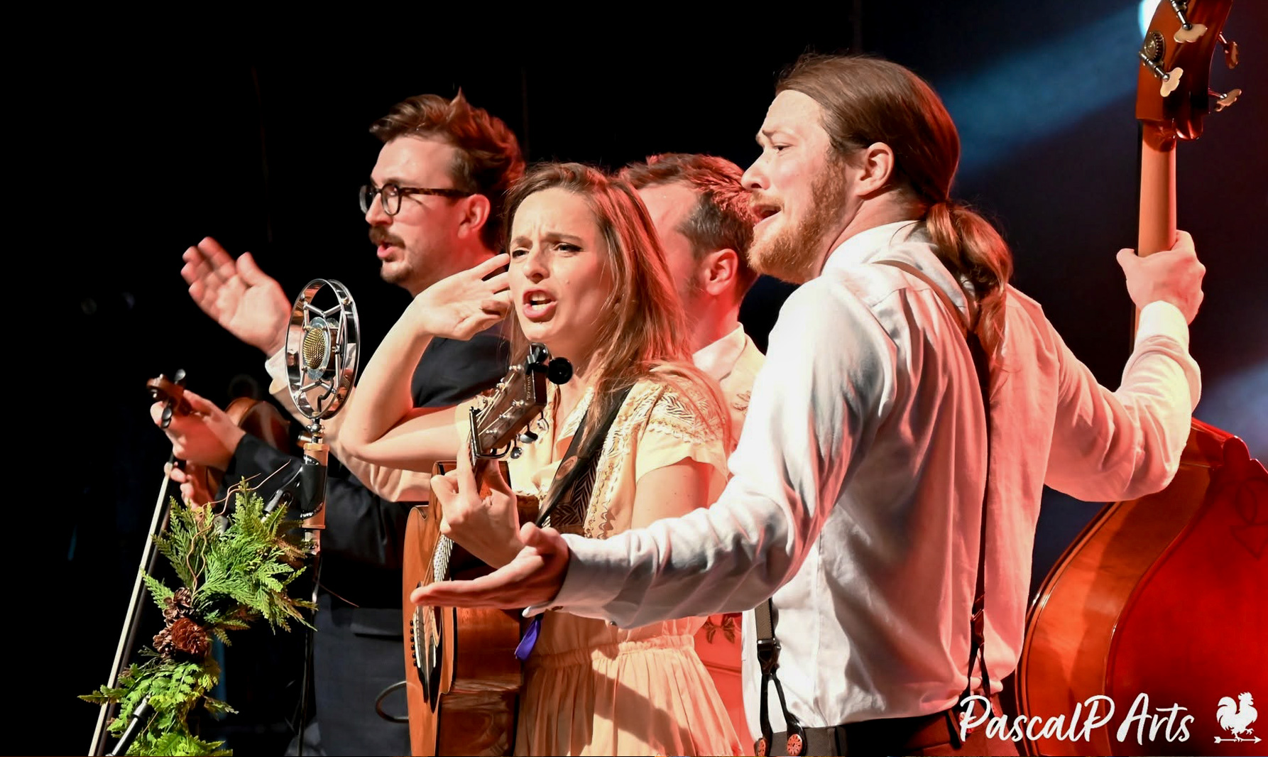 Bluegrass in La Roche