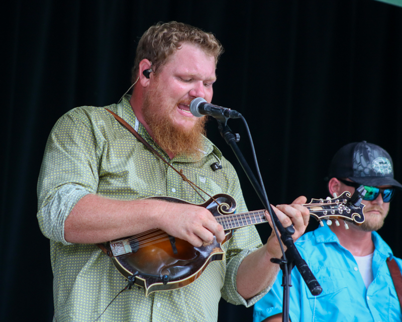 Will Clark at the 2026 Camp Springs Labor Blue Grass Festival - photo © Laura Tate Photography