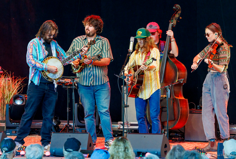 East Nash Grass at Pickin' in the Pines '26 - photo © Dave Hollender