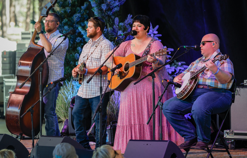 Red Camel Collective at Pickin' in the Pines '26 - photo © Dave Hollender