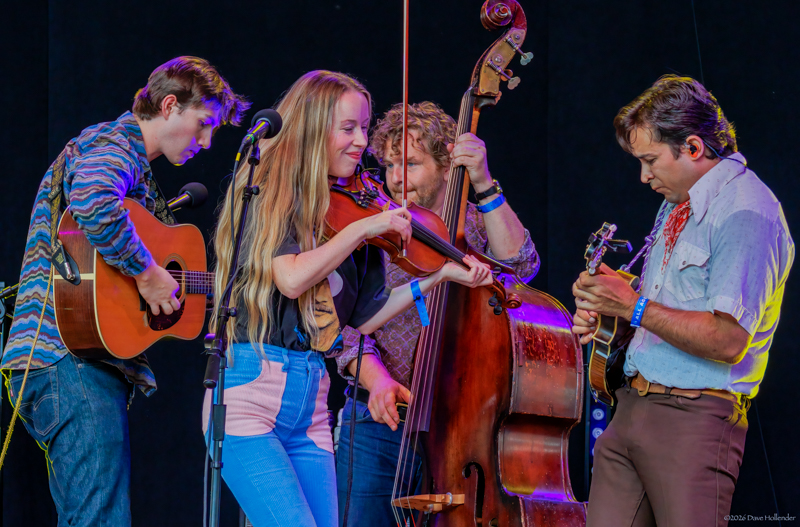 Grant Dresnok, Bronwyn, Larry Cook, and Tristan Scroggins at Pickin' in the Pines '26 - photo © Dave Hollender
