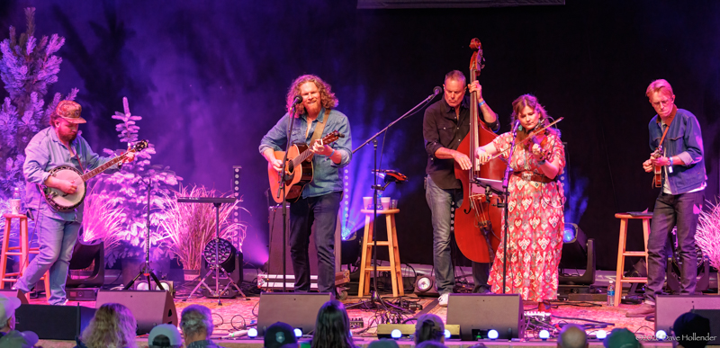 Wood Box Heroes at Pickin' in the Pines '26 - photo © Dave Hollender