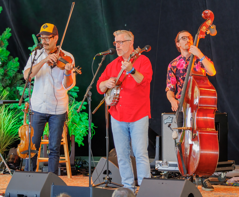 Lonesome Ace String Band at Pickin' in the Pines '26 - photo © Dave Hollender